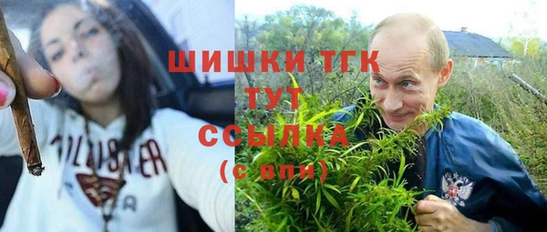 амф Белоозёрский