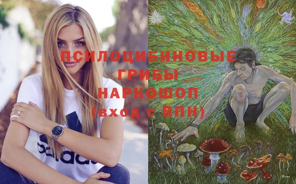 амф Белоозёрский
