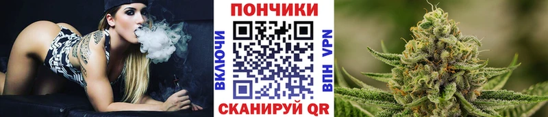 Бошки марихуана Amnesia  Полесск 